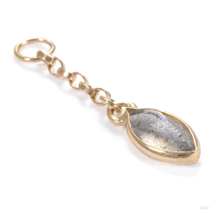Belleza Charm in 14k Yellow Gold with Labradorite from Hialeah
