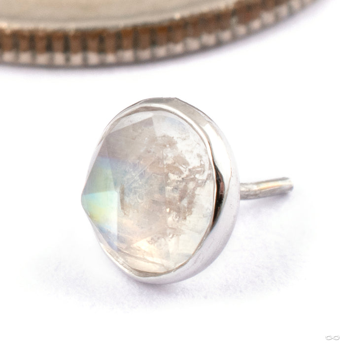 14k White Gold / Rainbow Moonstone / 4mm