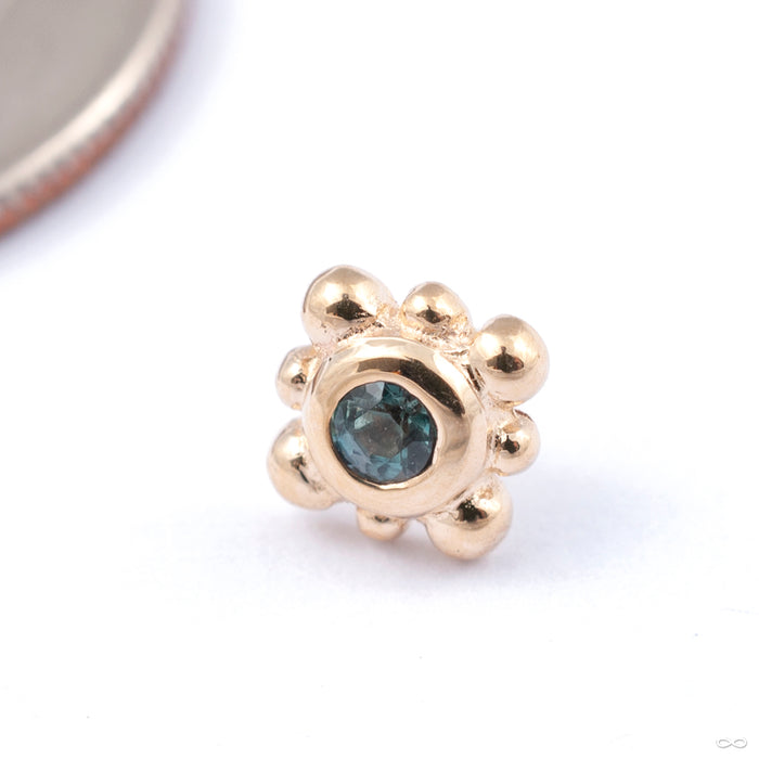 Bezel With 8 Beads Press-fit End in Gold from BVLA with tanzanite