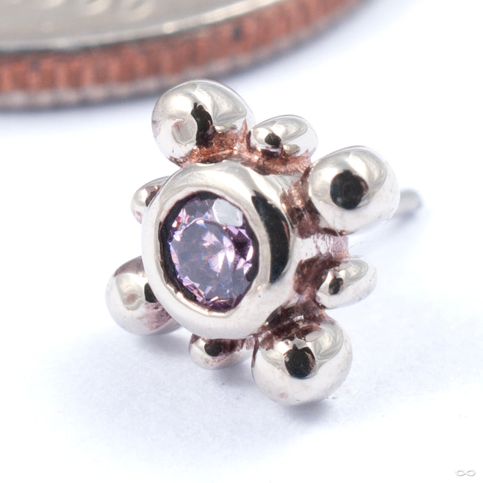 14k White Gold / Pink