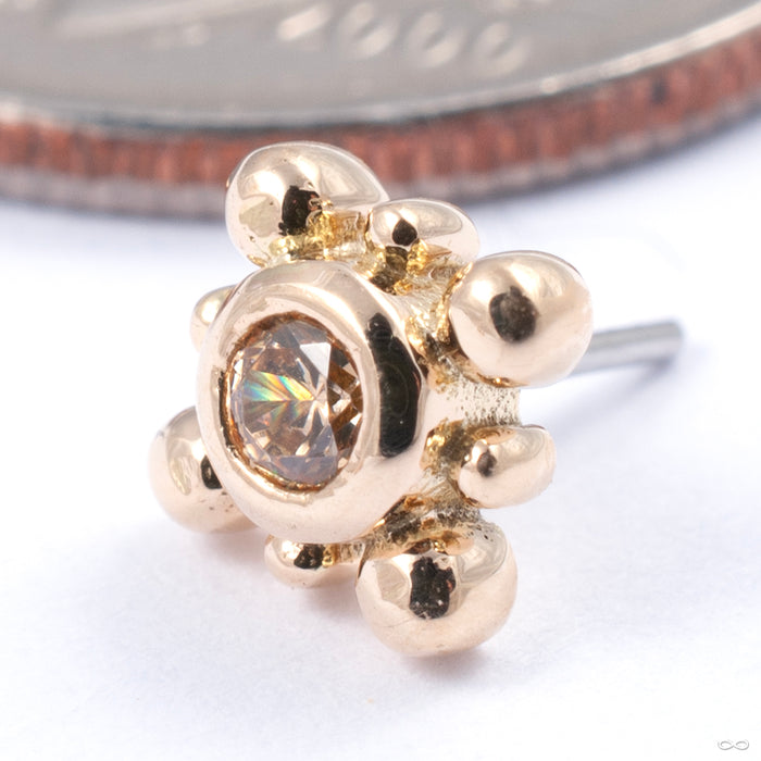14k Yellow Gold / Champagne