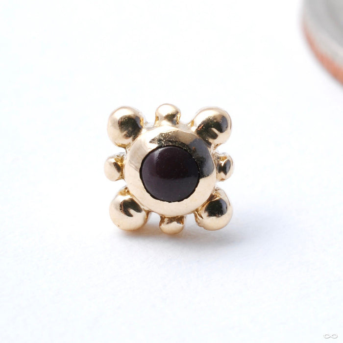 14k Yellow Gold / Chocolate