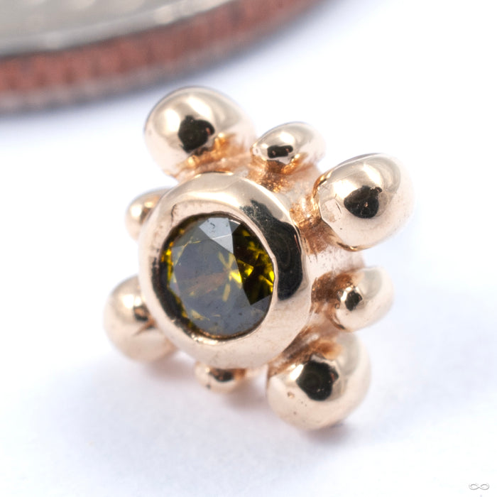 14k Yellow Gold / Olive