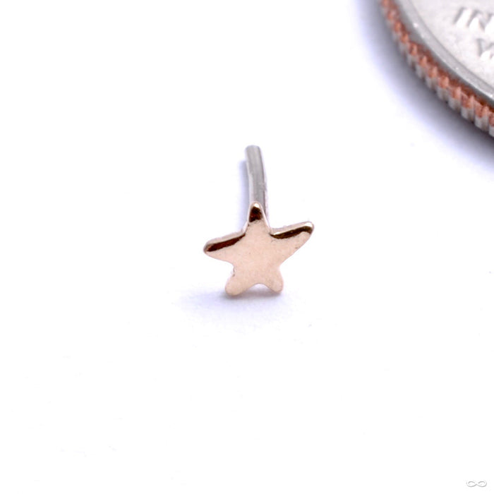 Bitty Star Press-fit End in Gold from Pupil Hall in yellow gold