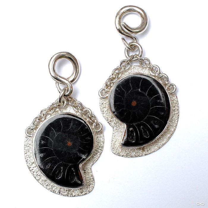 Black Ammonite Weights from Diablo Organics