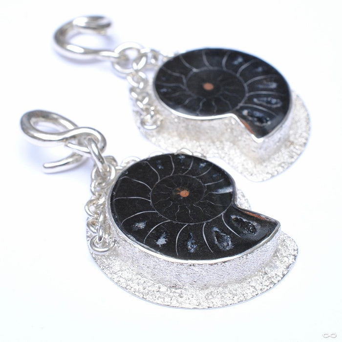 Black Ammonite Weights from Diablo Organics
