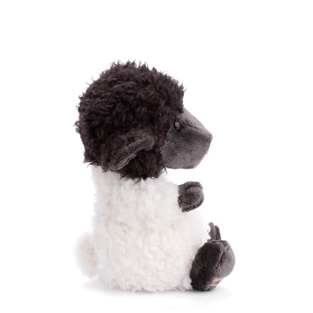 Black Sheep