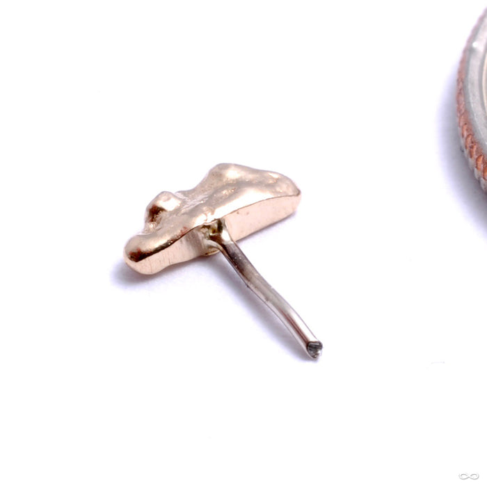 Ceremony Press-fit End in Gold from Pupil Hall