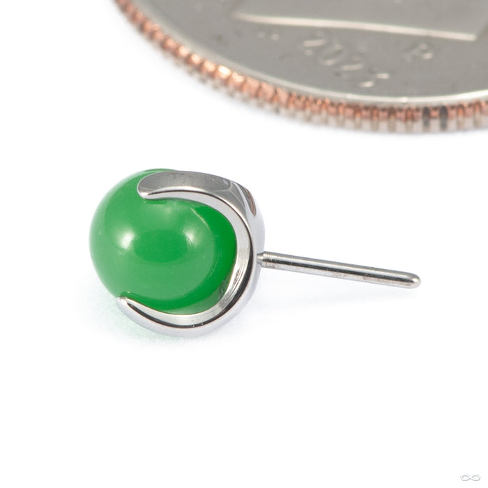 Claw-set Stone Press-fit End in Titanium from People's Jewelry in green jade