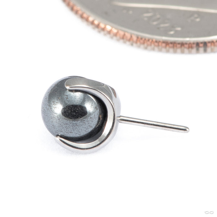 Claw-set Stone Press-fit End in Titanium from People's Jewelry in hematite