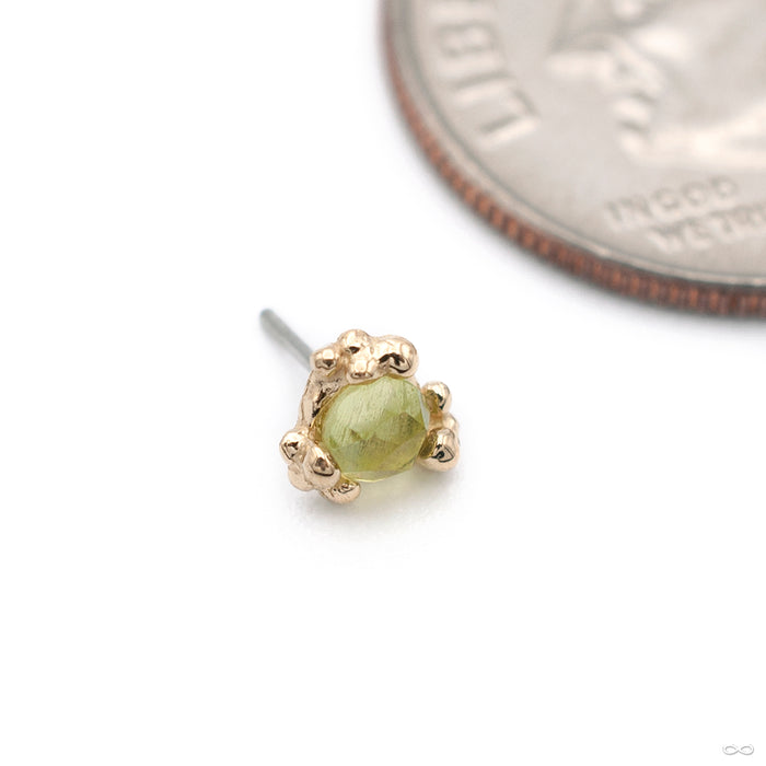 Cleo Beaded Press-fit End in Gold from Pupil Hall with peridot in yellow gold
