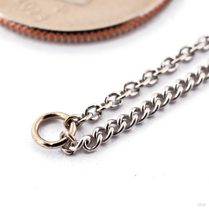 Close Knit Chain in 14k White Gold from Hialeah Chain Detail