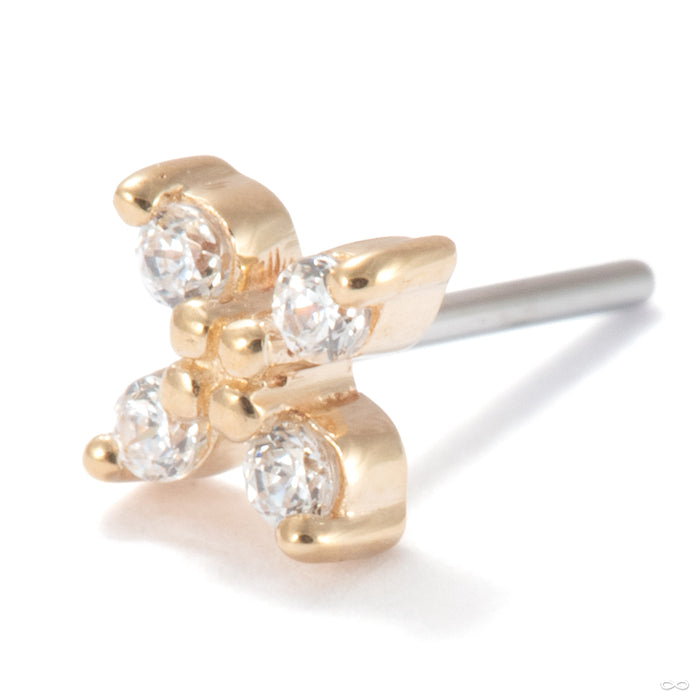 Crux Press-fit End in 14k Yellow Gold with Clear CZ from Ember Body Jewelry
