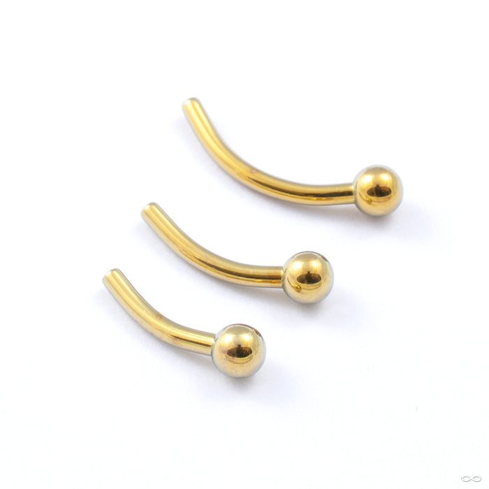 Curved Press-fit Post in Titanium Anodized Gold from Neometal in assorted sizes