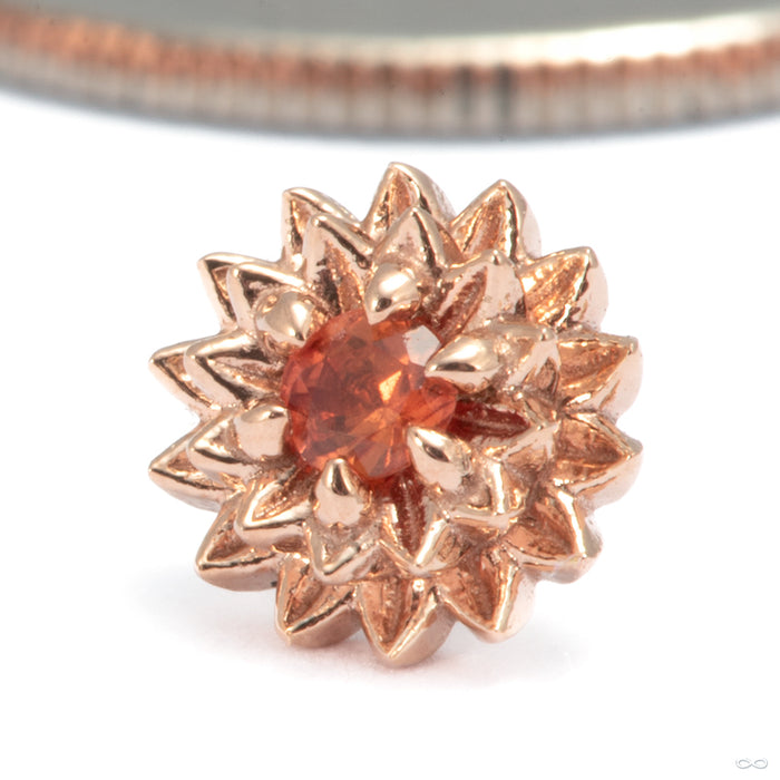 Dahlia Press-fit End in 14k Rose Gold with Orange Sapphire from Tether Jewelry