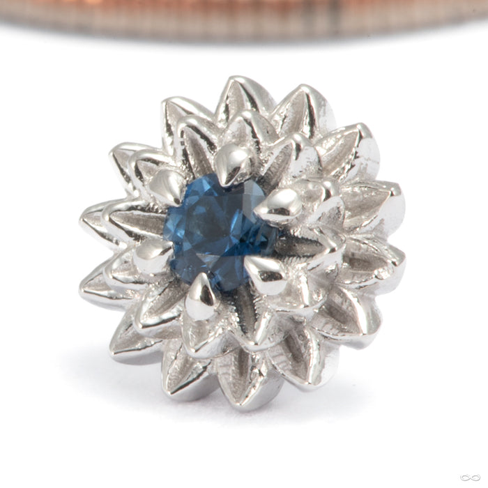 Dahlia Press-fit End in 14k White Gold with Blue Sapphire from Tether Jewelry