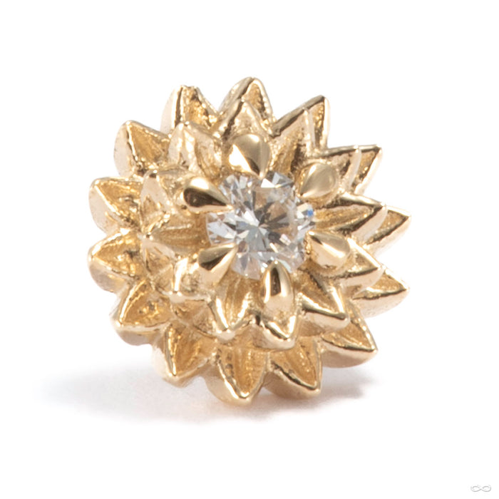 Dahlia Press-fit End in 14k Yellow Gold with Diamond from Tether Jewelry