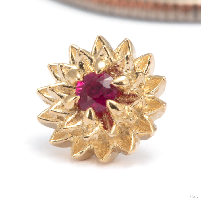 Dahlia Press-fit End in 14k Yellow Gold with Ruby from Tether Jewelry