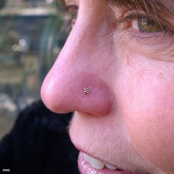 Nostril piercing with Daisy Press-fit End in Gold from LeRoi in 14k Yellow Gold
