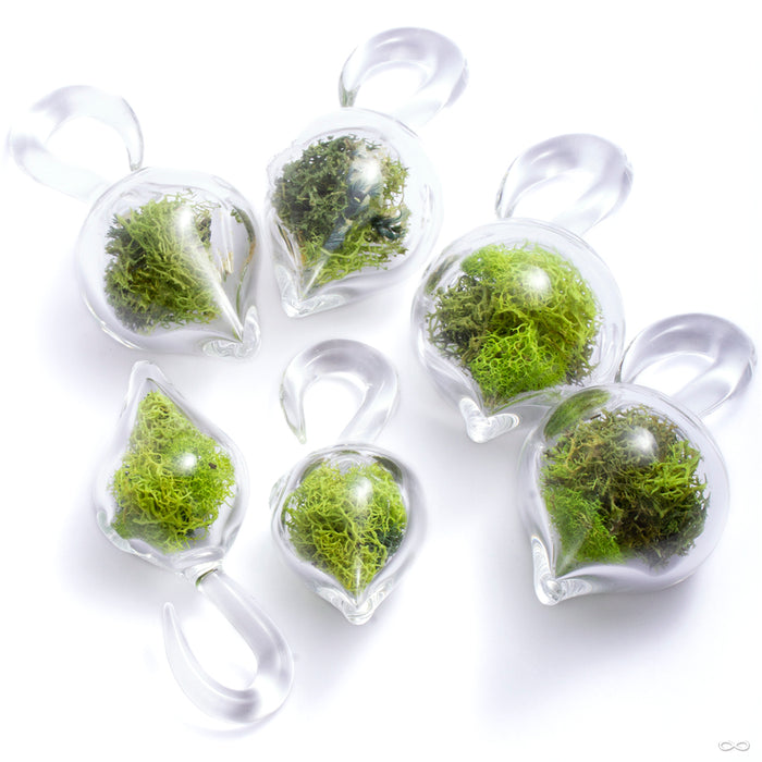 Dayak Terrarium Weights from Uzu Organics in various sizes