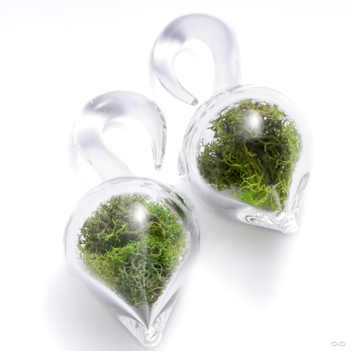 Dayak Terrarium Weights from Uzu Organics in size medium with clear glass