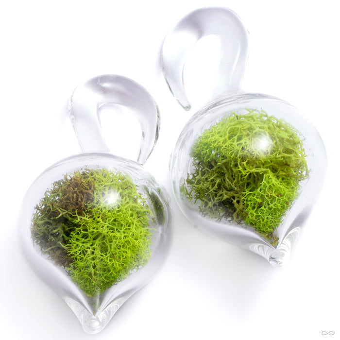 Dayak Terrarium Weights from Uzu Organics in size large