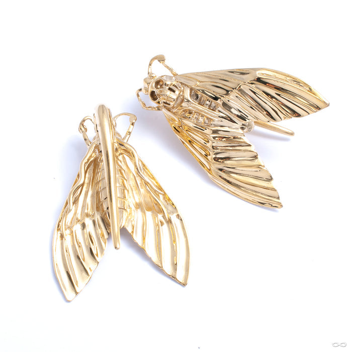 Death’s Head Moth Weights from Tawapa in yellow-gold-plated brass
