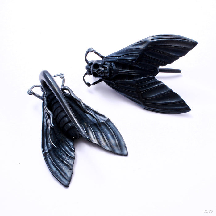 Death’s Head Moth Weights from Tawapa in gun metal