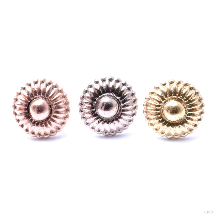 Dessert First Press-fit End in Gold from Regalia in assorted materials