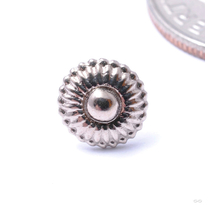 Dessert First Press-fit End in Gold from Regalia in white gold