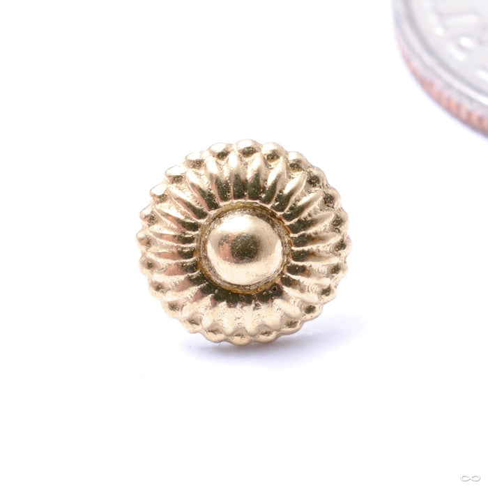 Dessert First Press-fit End in Gold from Regalia in yellow gold