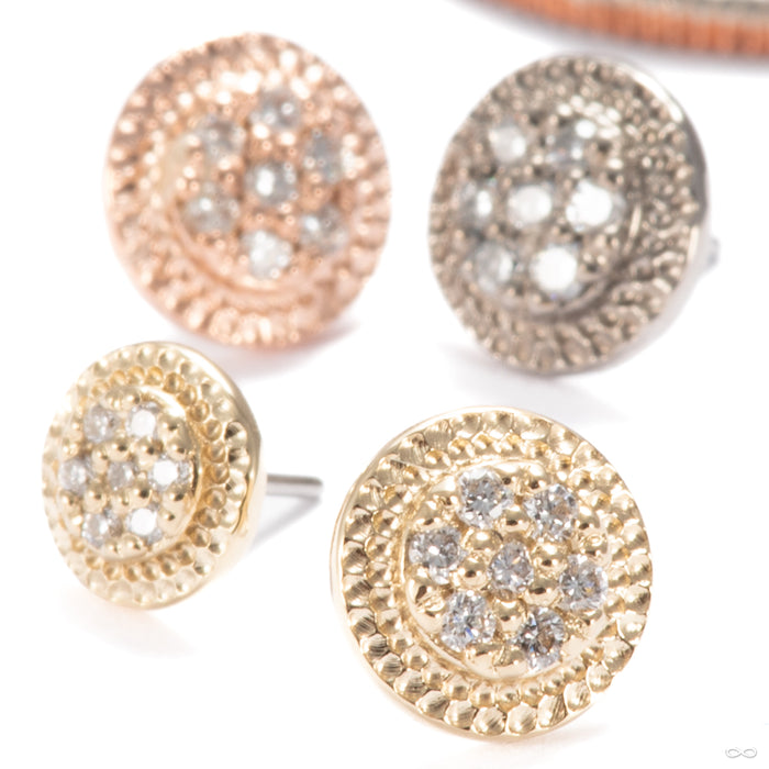 Didact Press-fit End in Gold from Seasons Handmade in assorted materials