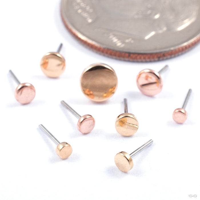 Disk Press-fit End in Gold from LeRoi in various sizes and materials