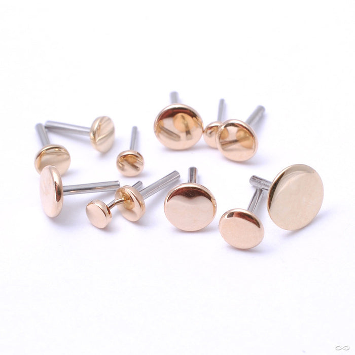 Disk Press-fit Ends in Gold from LeRoi
