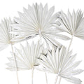 Dried Natural Sun Palm Leaves Bundle, White Wash, 5-Piece