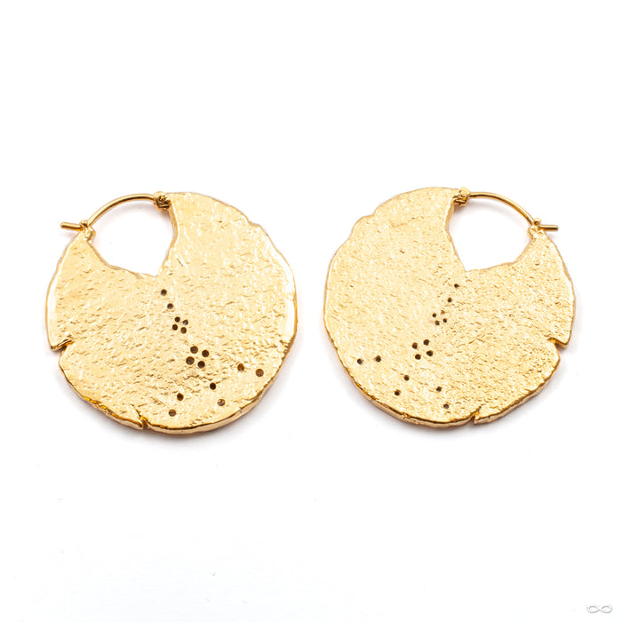 Duality Earrings from Maya Jewelry back view