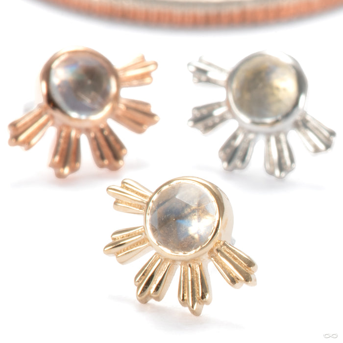 Eclipse Press-fit End in Gold from Ember Body Jewelry in assorted materials