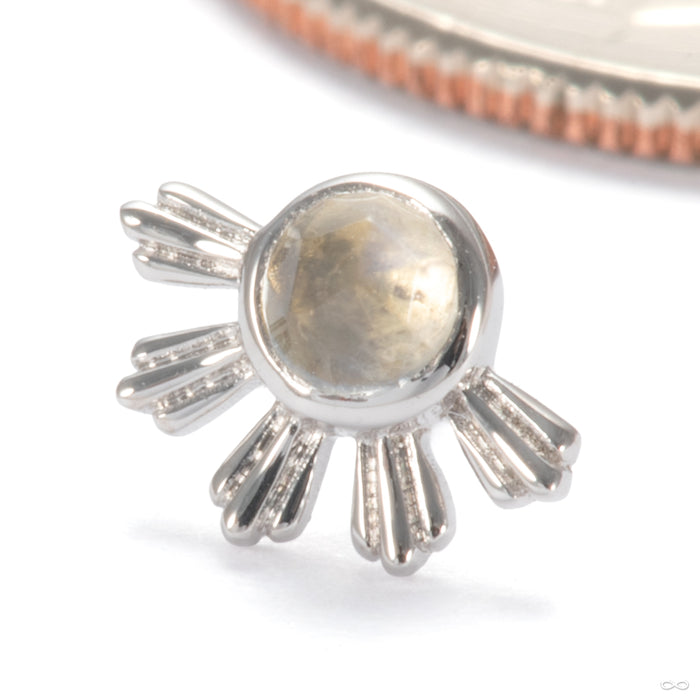 Eclipse Press-fit End in 14k White Gold with Rainbow Moonstone from Ember Body Jewelry