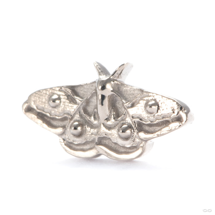 Empress Press-fit End in in 14k White Gold from Regalia