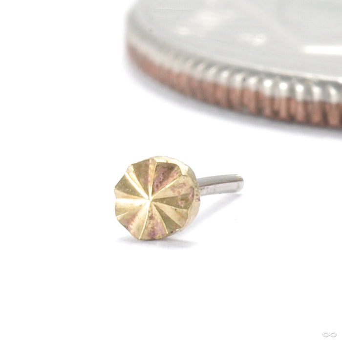 Engraved Disk Press-fit End in Gold from Origins Handmade in 2mm