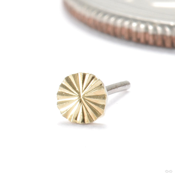 Engraved Disk Press-fit End in Gold from Origins Handmade in 2.5mm