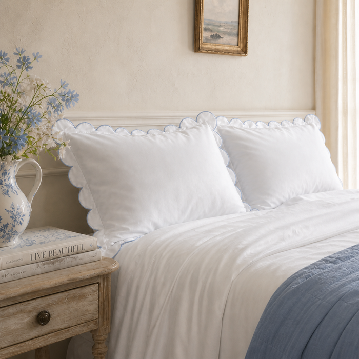 French Blue Scallop / Standard