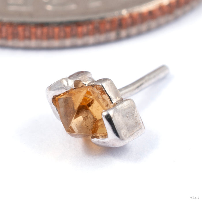 Eve Press-fit End in Gold from Tawapa with citrine