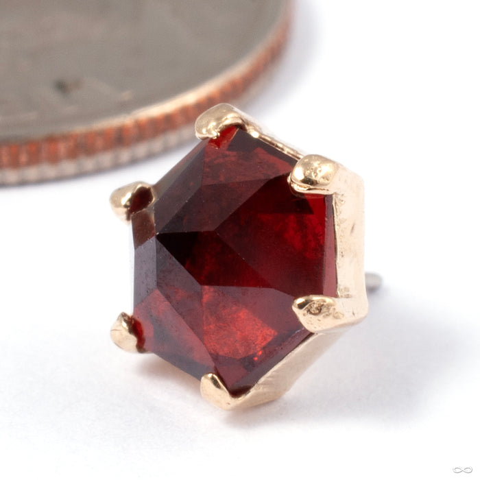 14k Yellow Gold / Garnet