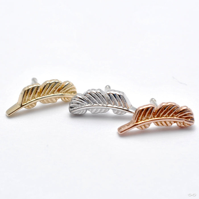 Feather Press-fit End in Gold from BVLA in Assorted Metals