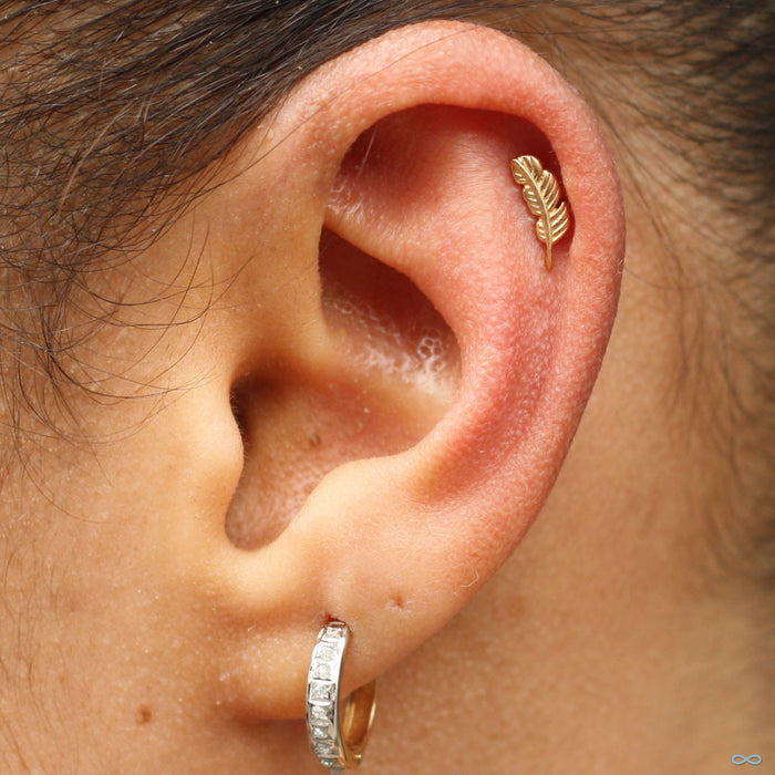 Outer helix piercing with Feather Press-fit End in Gold from BVLA in 14k Yellow Gold