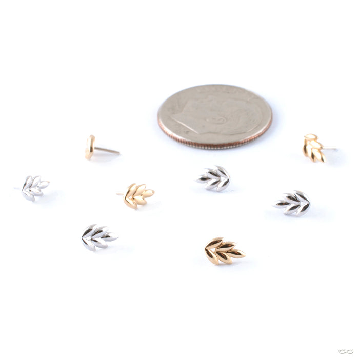 Fernanda Press-fit End in Gold from Junipurr Jewelry in assorted materials