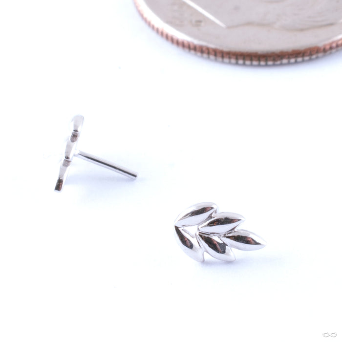 Fernanda Press-fit End in Gold from Junipurr Jewelry in white gold