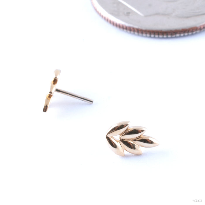 Fernanda Press-fit End in Gold from Junipurr Jewelry in yellow gold