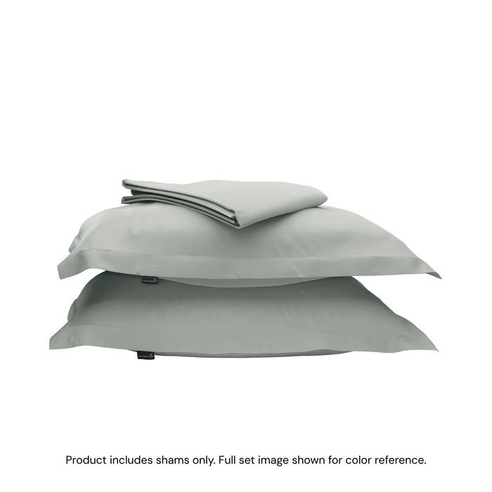 Sage / Standard / Sham Set (Set of 2)